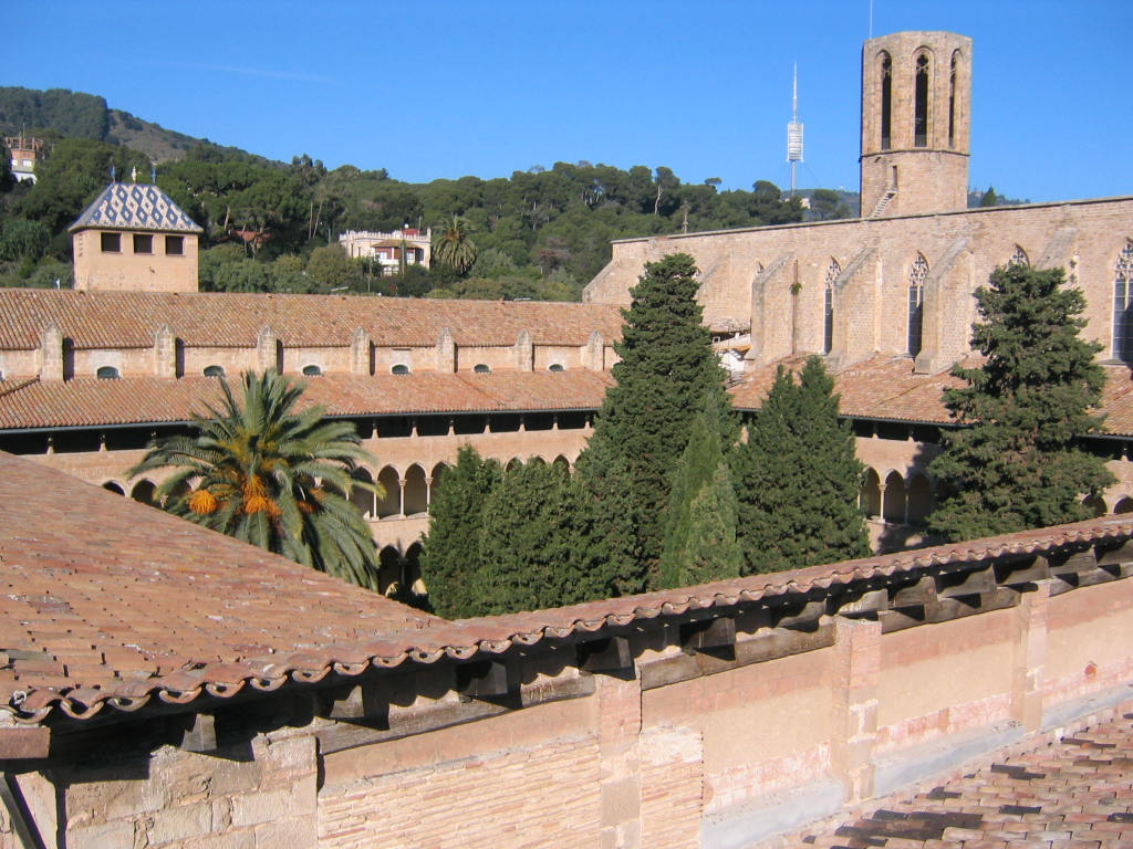 Licheni di Monasterio de Pedralbes  - Barcelona